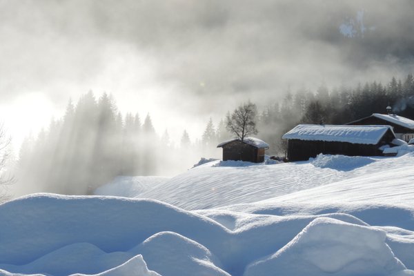 Jahreszeiten - Winterlandschaft im Morgennebel
